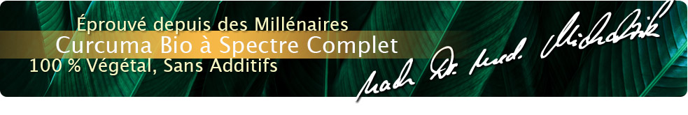 Curcuma bio spectre complet